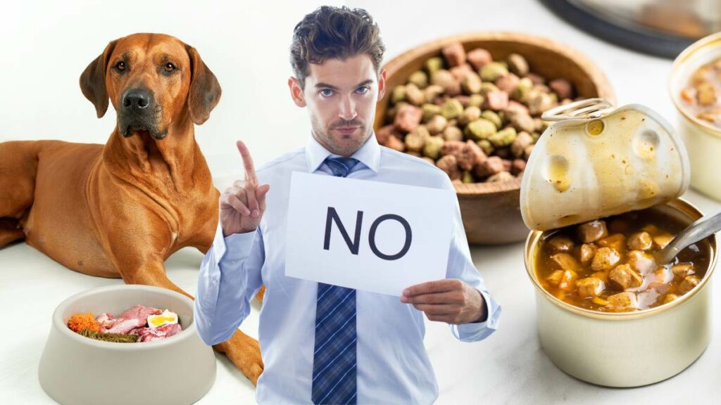 Giftige Lebensmittel für Hunde